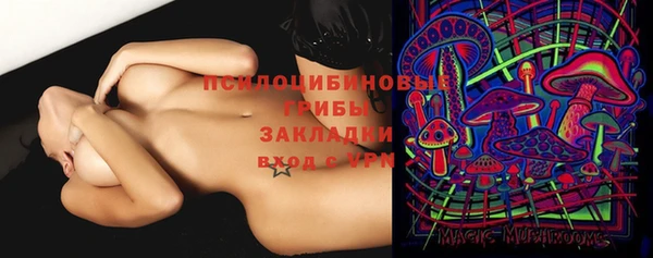 спиды Лиски