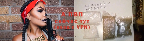 индика Липки