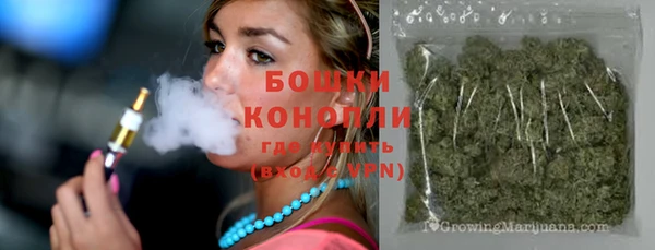 спиды Лиски