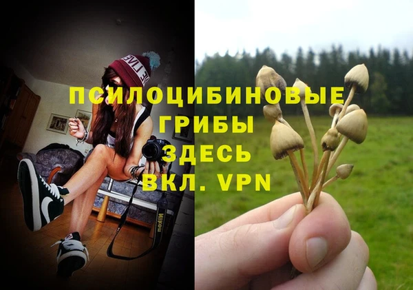 спиды Лиски