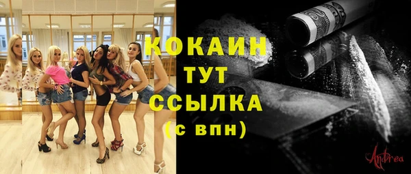 спиды Лиски