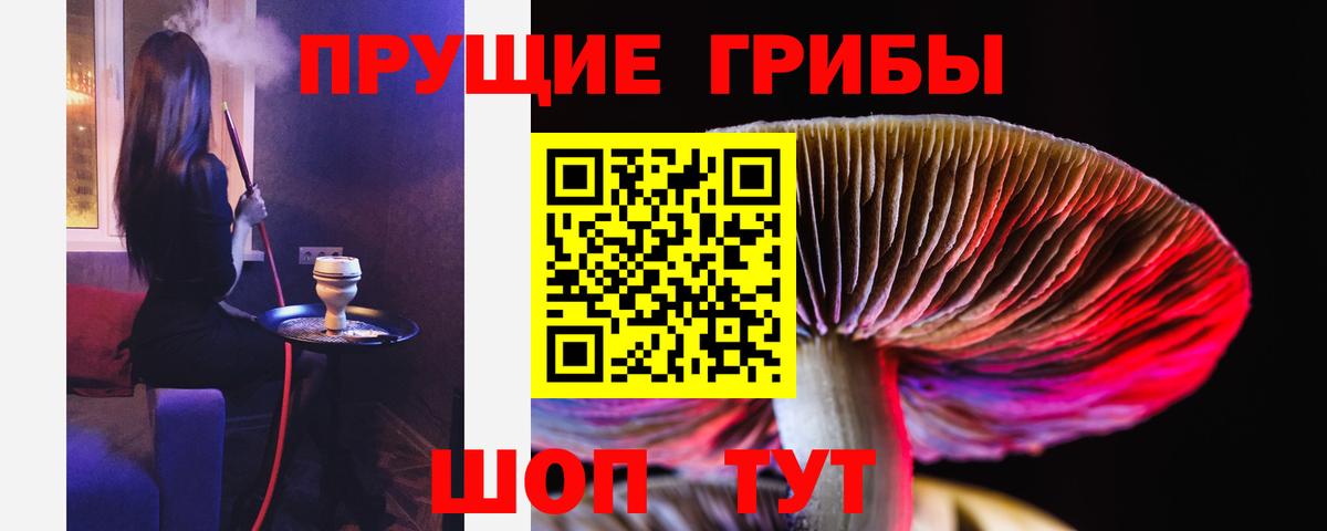 Чернушка  Псилоцибиновые грибы GOLDEN TEACHER  Вход с VPN 