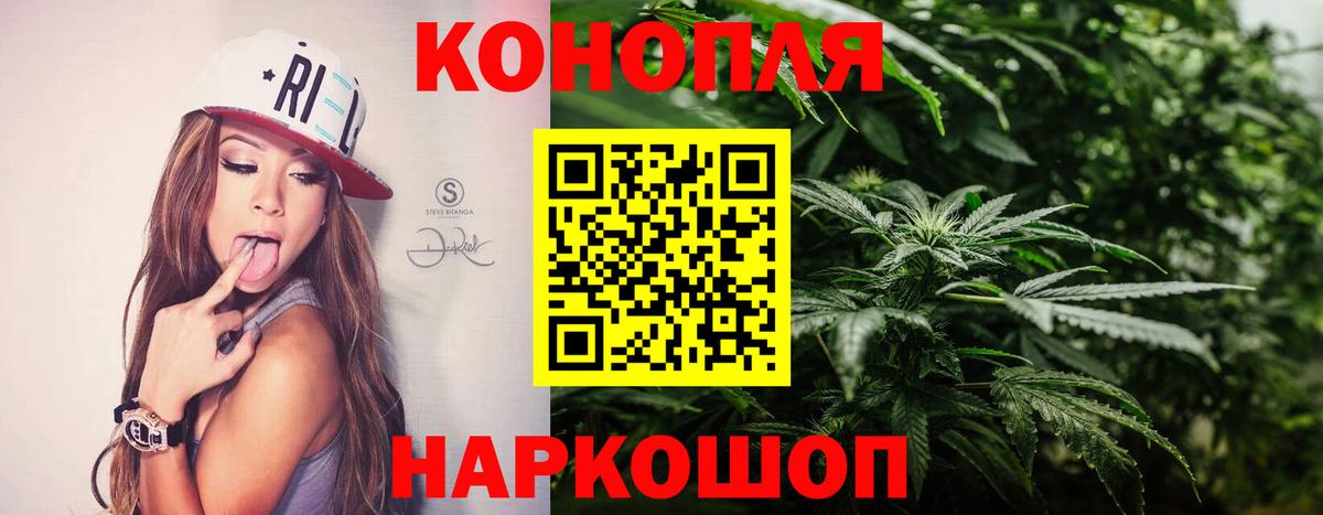 Канабис ГИДРОПОН  Вход с VPN  Шишки марихуана план  Бошки марихуана THC 21%  Чернушка  Марихуана семена 