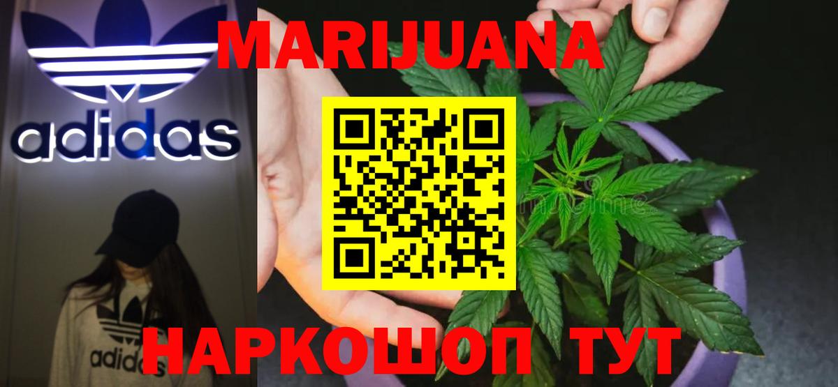 Бошки марихуана конопля Чернушка
